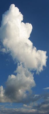 2006/9/3 部屋から写した雲