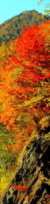2004/10/14 夕張滝の上公園の紅葉